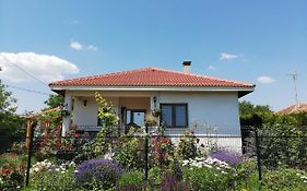 House Albena