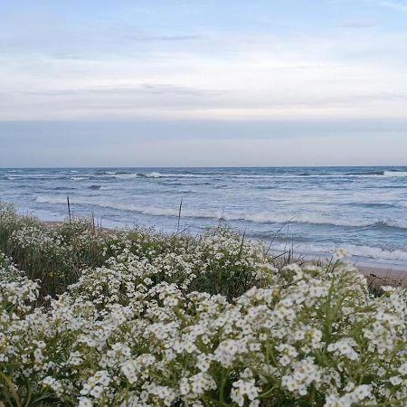 House Albena Hotel Дуранкулак Екстериор снимка