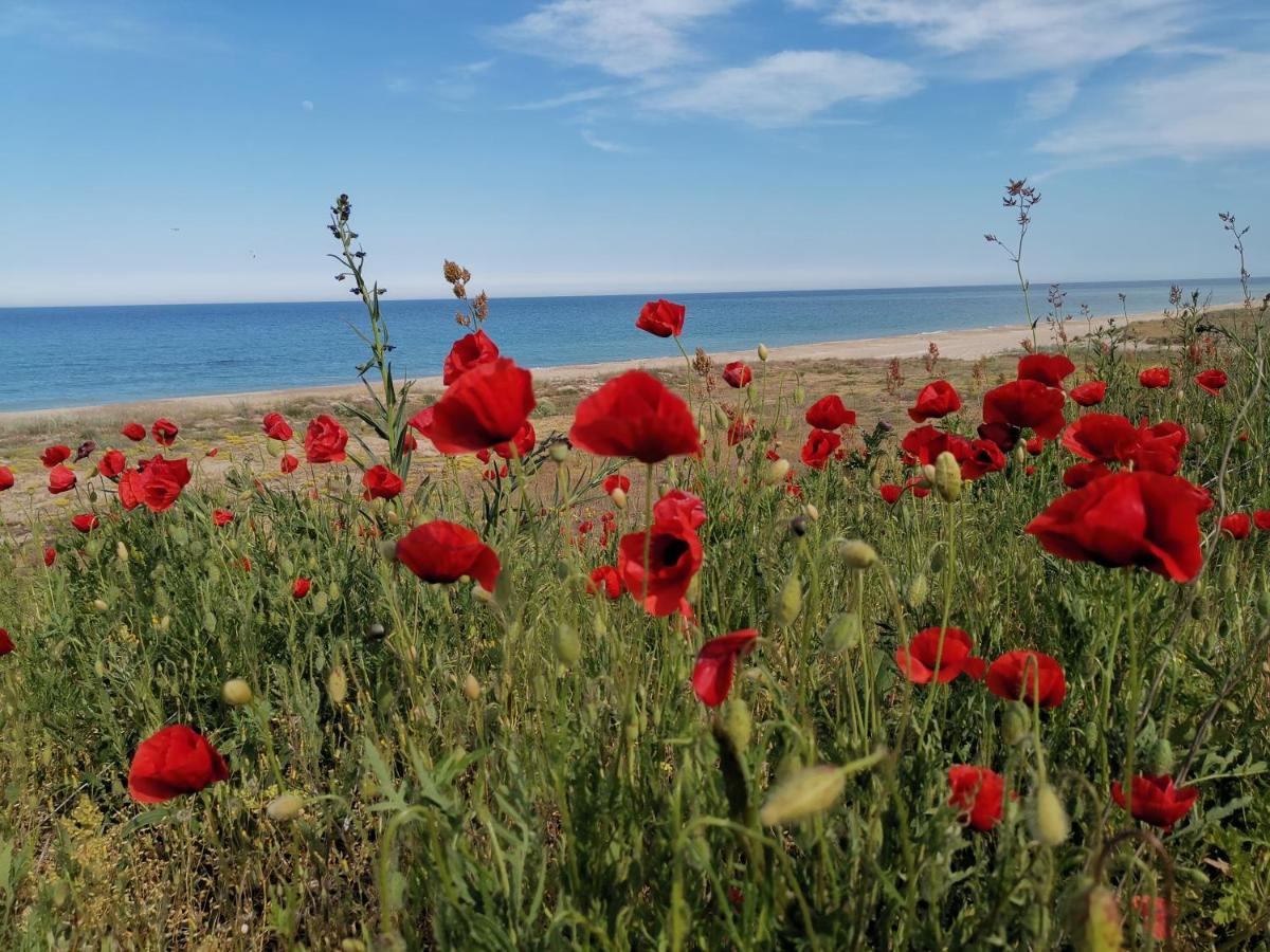 House Albena Hotel Дуранкулак Екстериор снимка