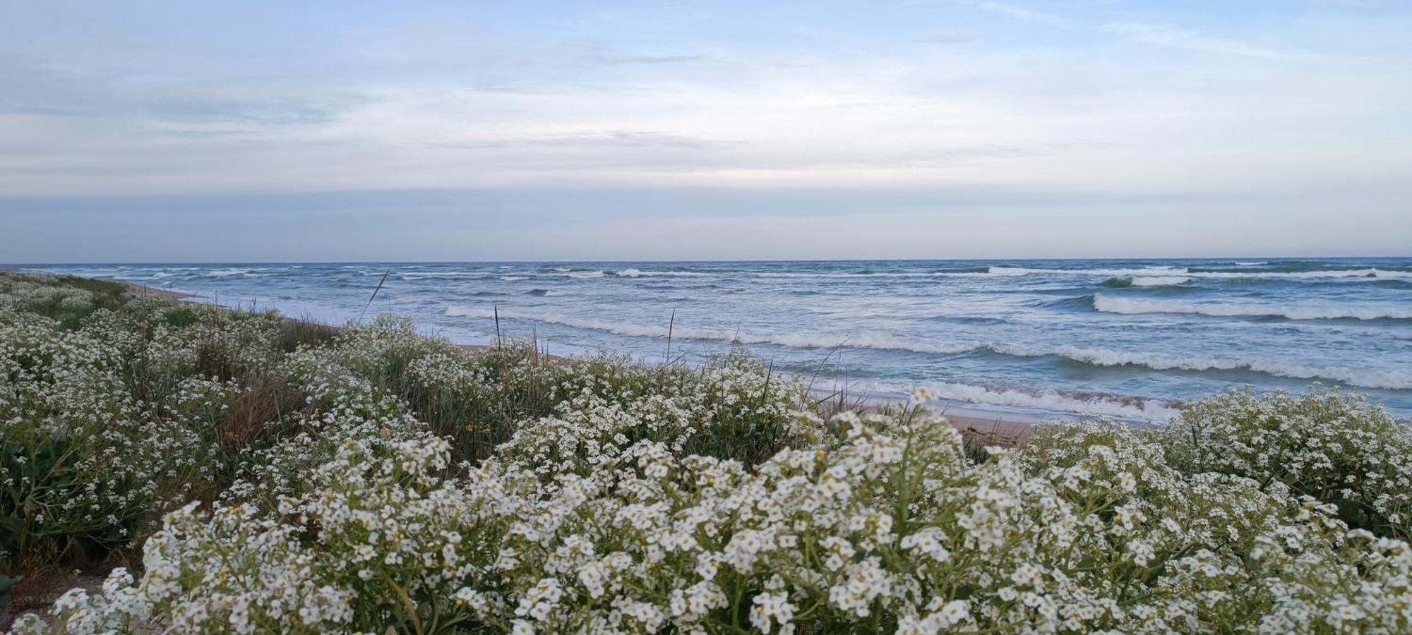 House Albena Hotel Дуранкулак Екстериор снимка